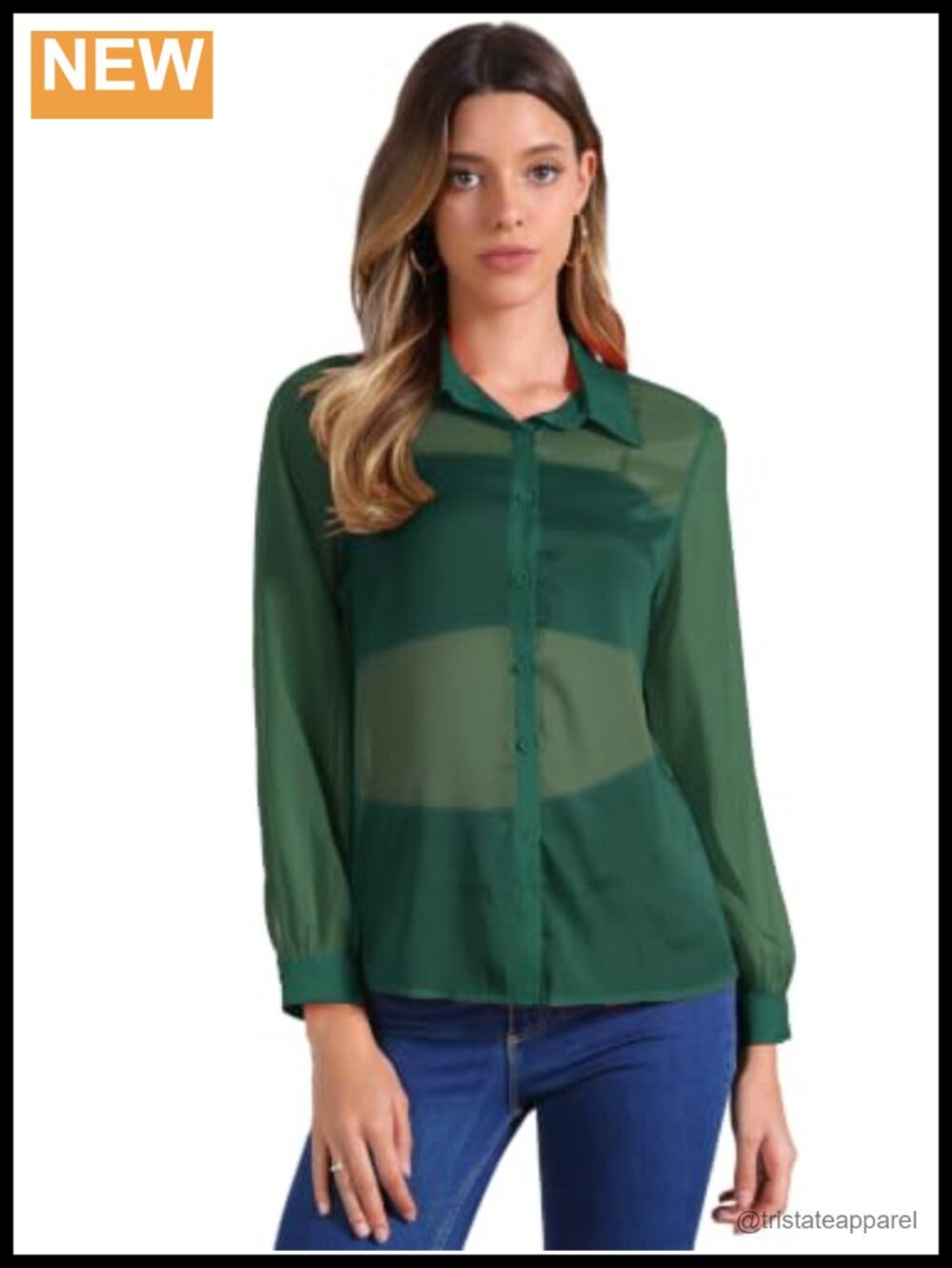 Sheer Mesh Button Down Long Sleeve Blouse Women's See Through Top Work